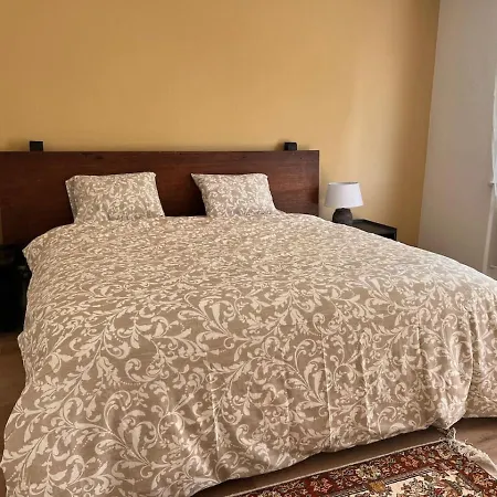 Studio With Balcony And Modern Amenities 202 House 16 Apartment *