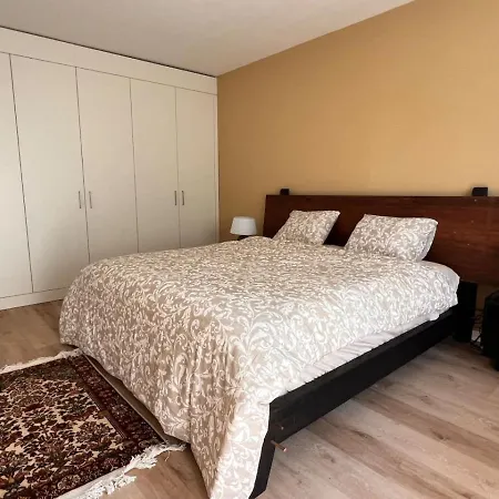 Apartment Studio With Balcony And Modern Amenities 202 House 16 *
