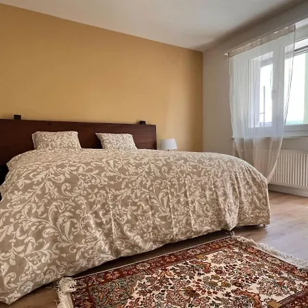 Studio With Balcony And Modern Amenities 202 House 16 * زيورخ